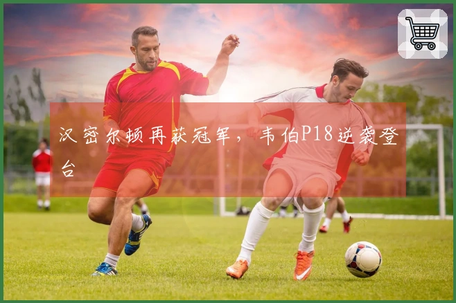 汉密尔顿再获冠军，韦伯P18逆袭登台