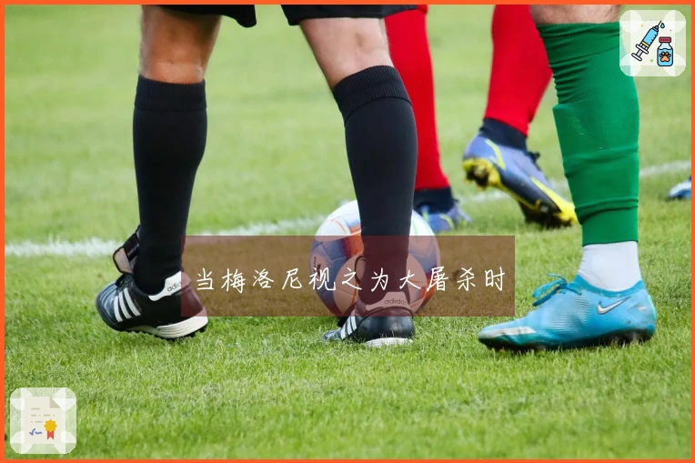 当梅洛尼视之为大屠杀时