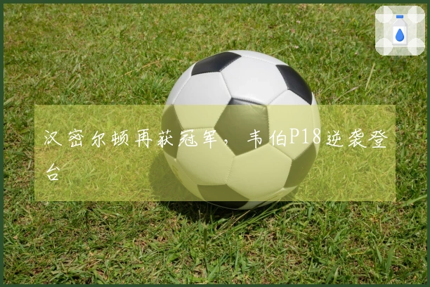 汉密尔顿再获冠军，韦伯P18逆袭登台